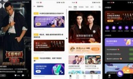 斩虎陈泽爆料视频大全,揭秘背后真相与内幕