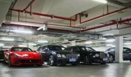 郑州豪车爆料视频网站,视频网站揭秘豪车云集盛况